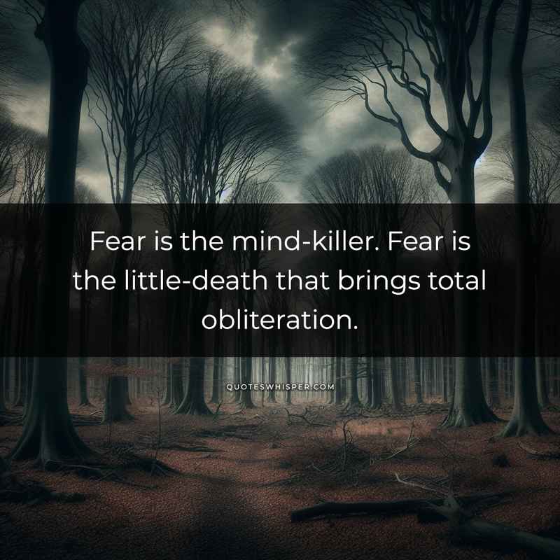 Fear is the mind-killer. Fear is the little-death that brings total obliteration.