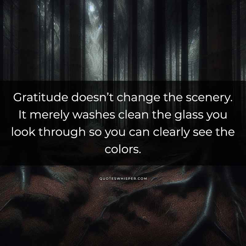 Gratitude doesn’t change the scenery. It merely washes clean the glass you look through so you can clearly see the colors.