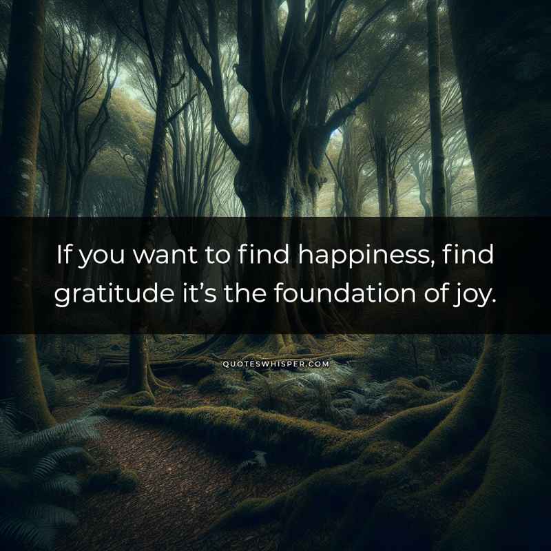 If you want to find happiness, find gratitude it’s the foundation of joy.