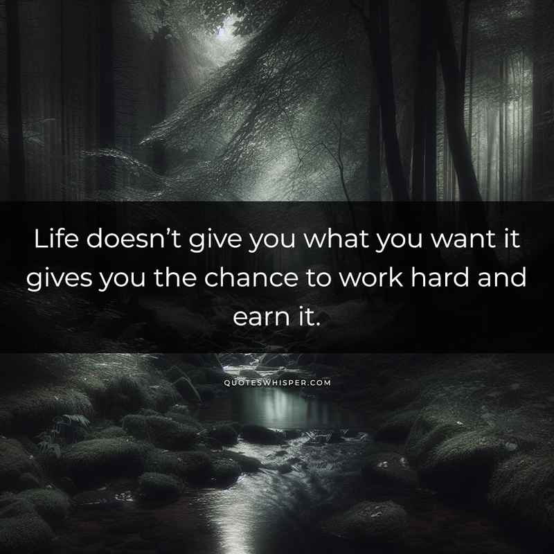 Life doesn’t give you what you want it gives you the chance to work hard and earn it.