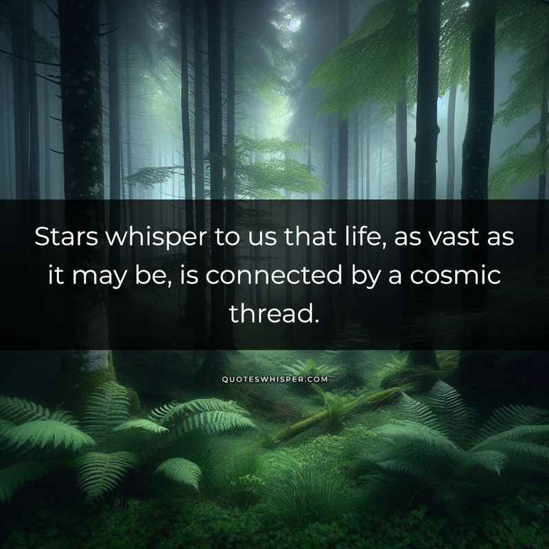 Stars whisper to us that life, as vast as it may be, is connected by a cosmic thread.