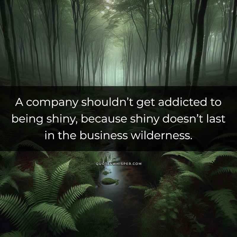 A company shouldn’t get addicted to being shiny, because shiny doesn’t last in the business wilderness.