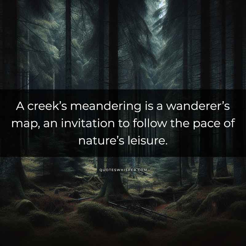A creek’s meandering is a wanderer’s map, an invitation to follow the pace of nature’s leisure.