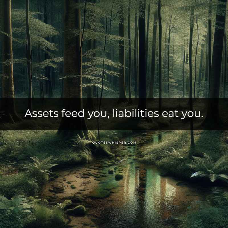 Assets feed you, liabilities eat you.