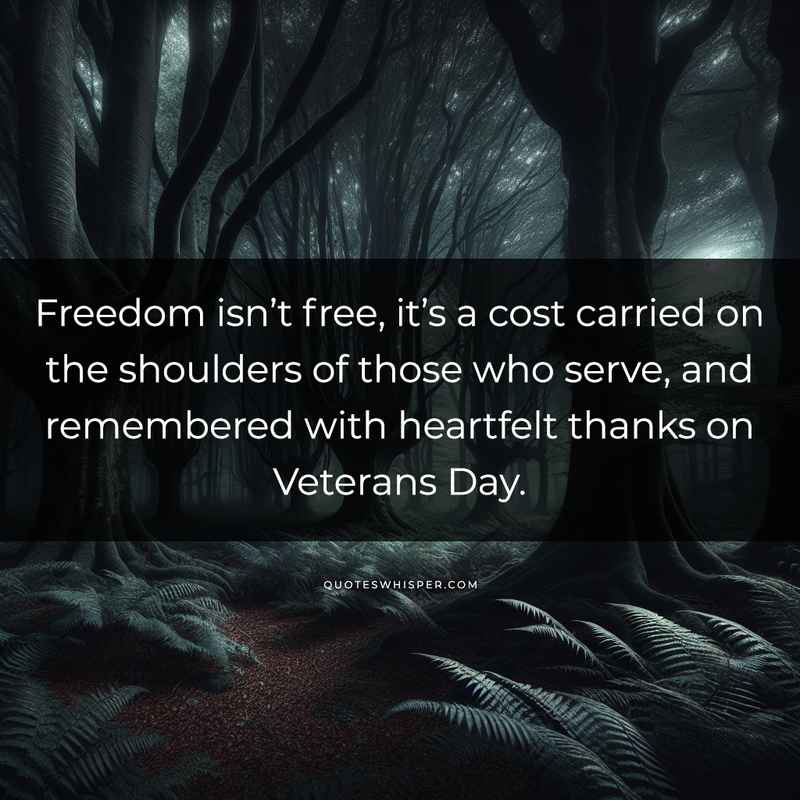 Freedom isn’t free, it’s a cost carried on the shoulders of those who serve, and remembered with heartfelt thanks on Veterans Day.