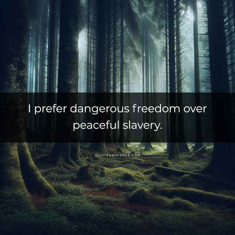 I prefer dangerous freedom over peaceful slavery.