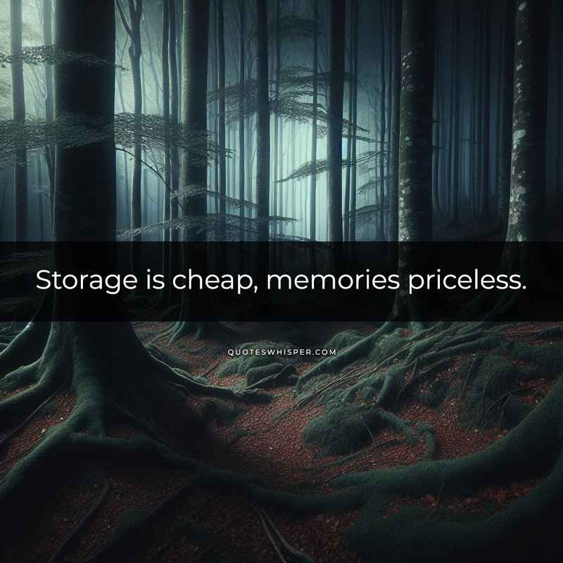 Storage is cheap, memories priceless.