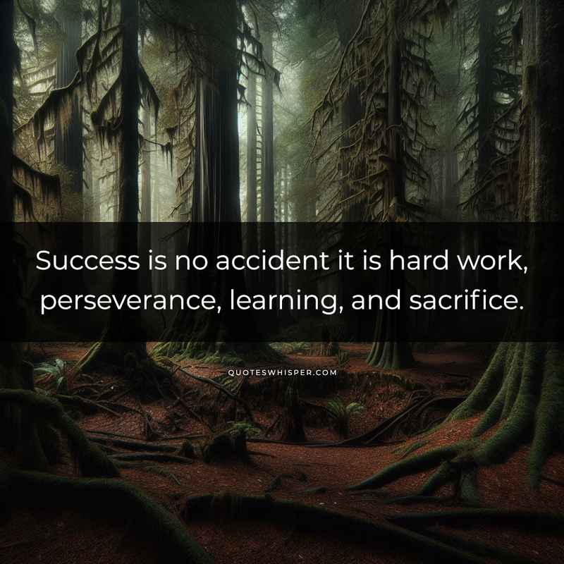 Success is no accident it is hard work, perseverance, learning, and sacrifice.