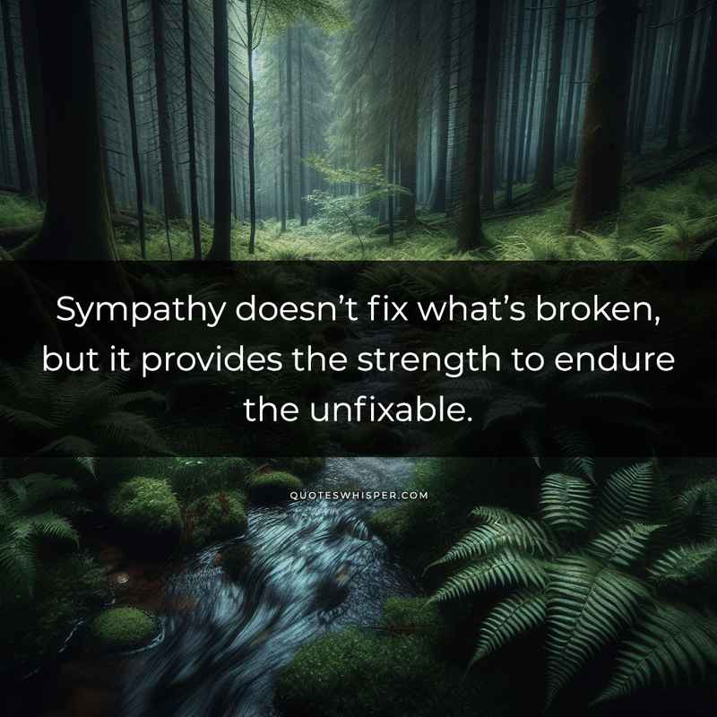 Sympathy doesn’t fix what’s broken, but it provides the strength to endure the unfixable.