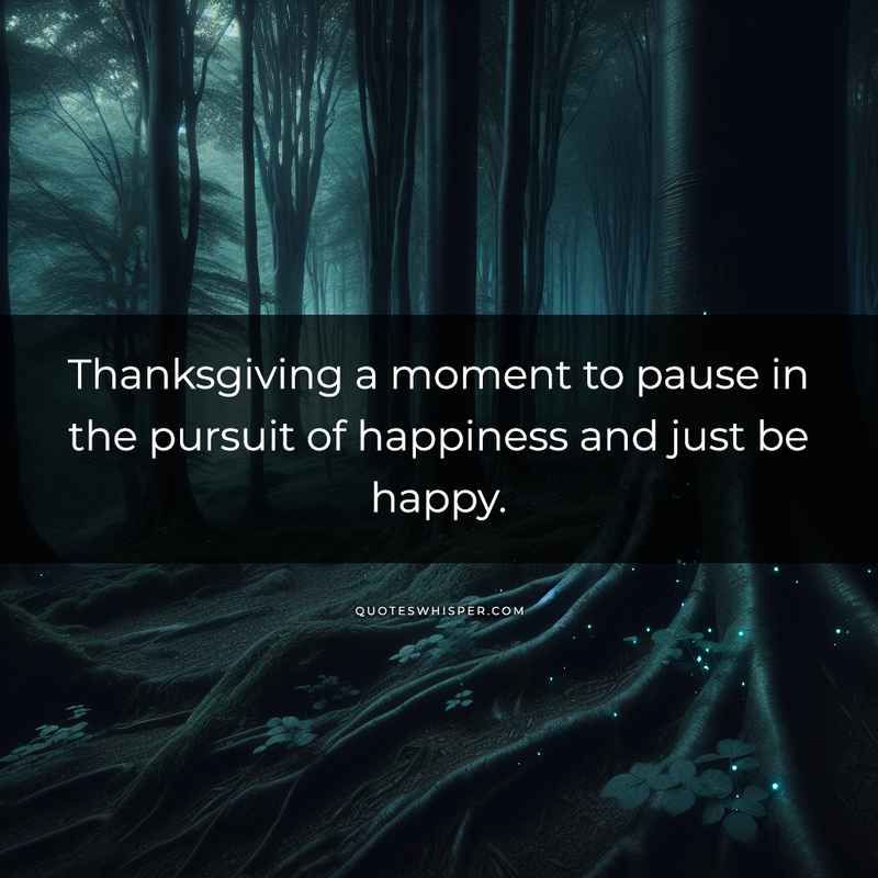 Thanksgiving a moment to pause in the pursuit of happiness and just be happy.