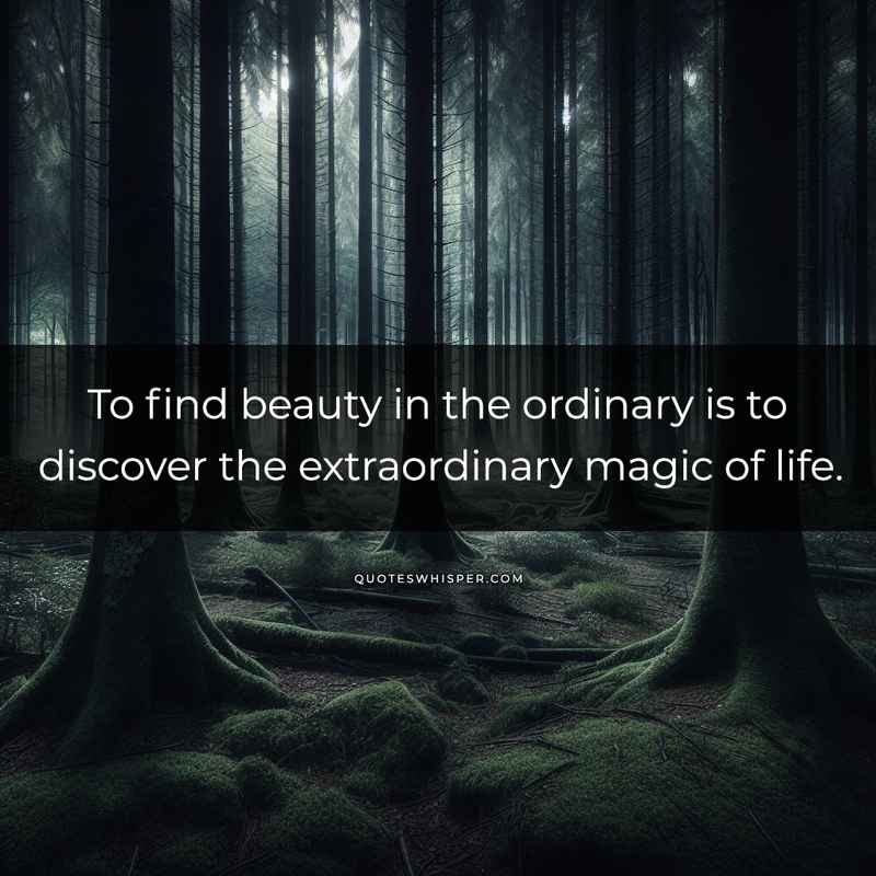 To find beauty in the ordinary is to discover the extraordinary magic of life.