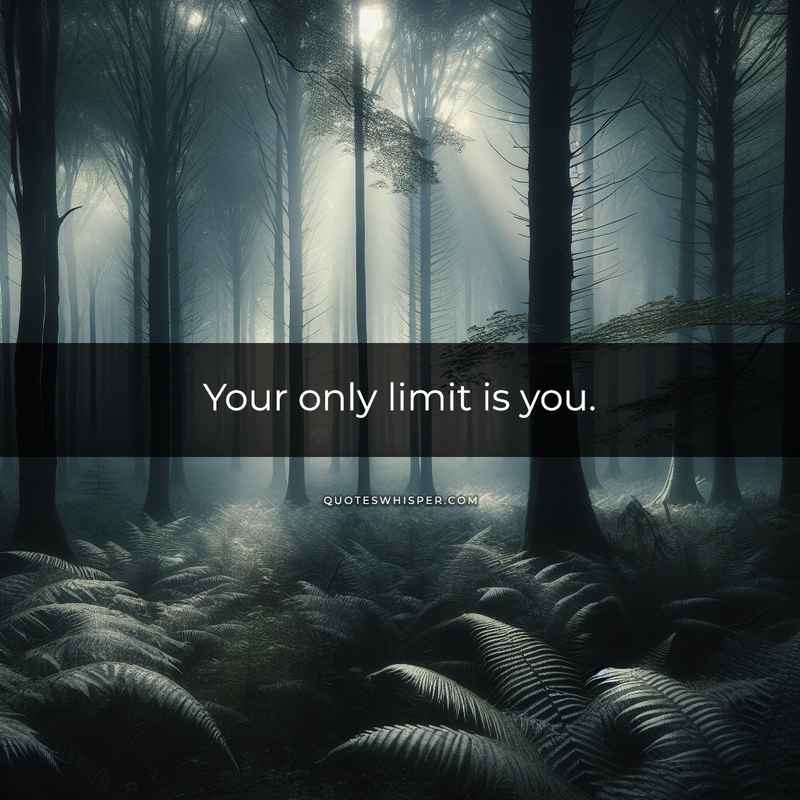 Your only limit is you.