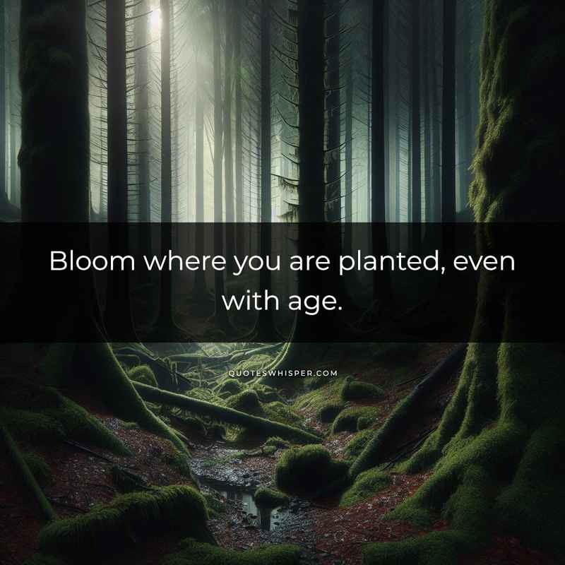 Bloom where you are planted, even with age.