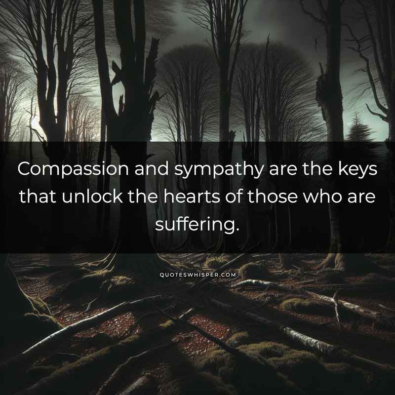 Compassion and sympathy are the keys that unlock the hearts of those who are suffering.
