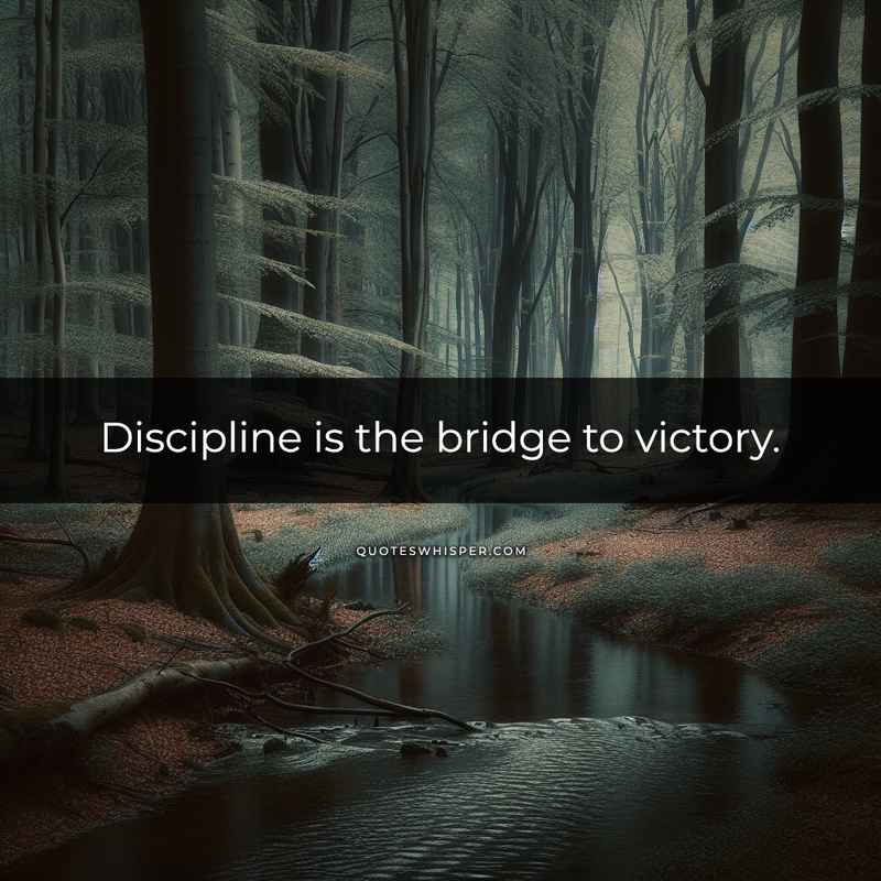 Discipline is the bridge to victory.