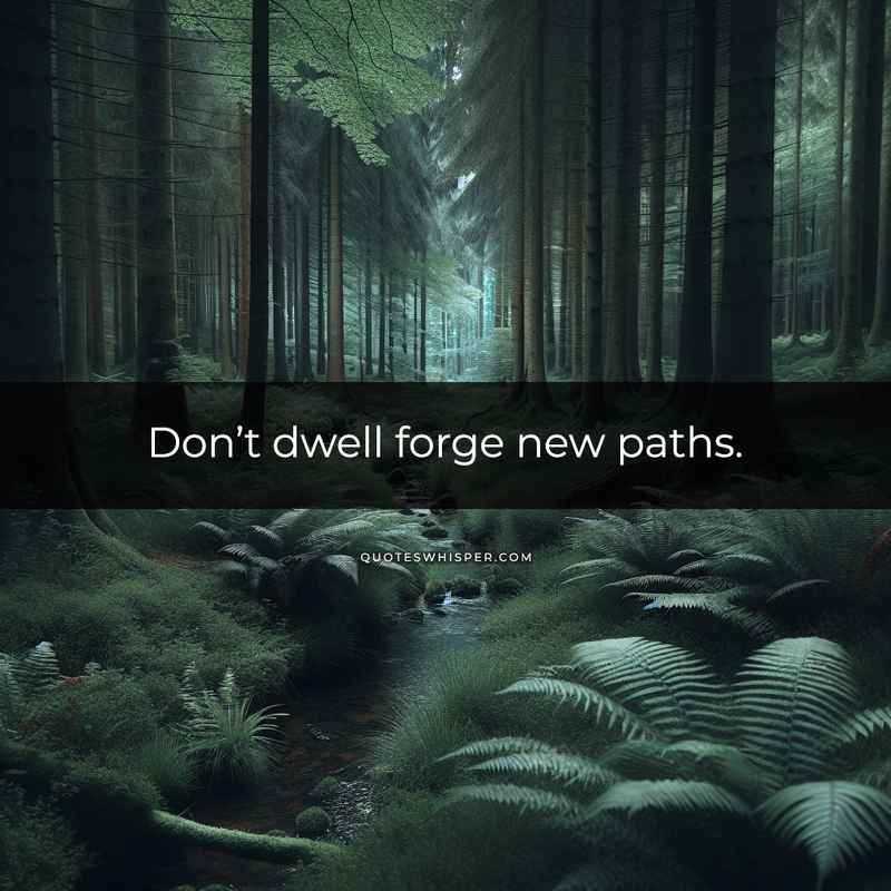 Don’t dwell forge new paths.