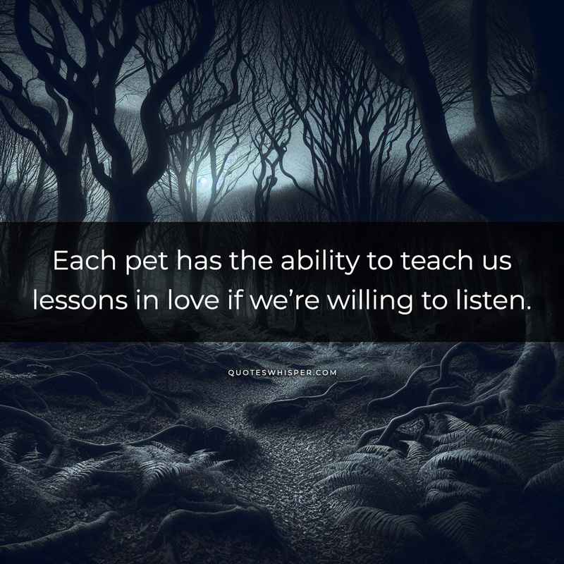Each pet has the ability to teach us lessons in love if we’re willing to listen.