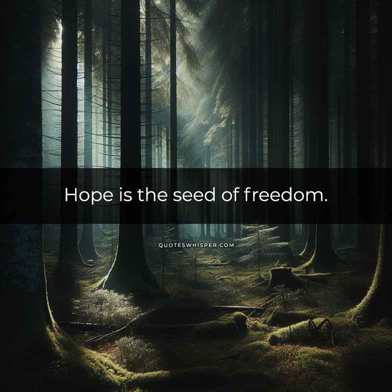 Hope is the seed of freedom.