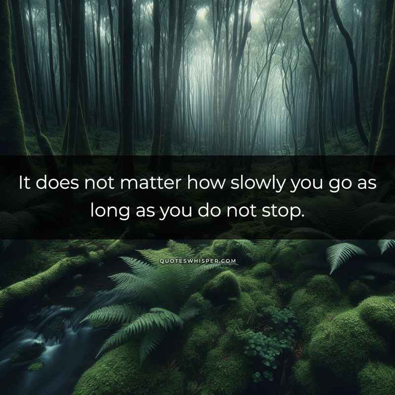 It does not matter how slowly you go as long as you do not stop.