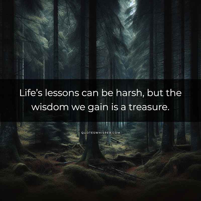 Life’s lessons can be harsh, but the wisdom we gain is a treasure.