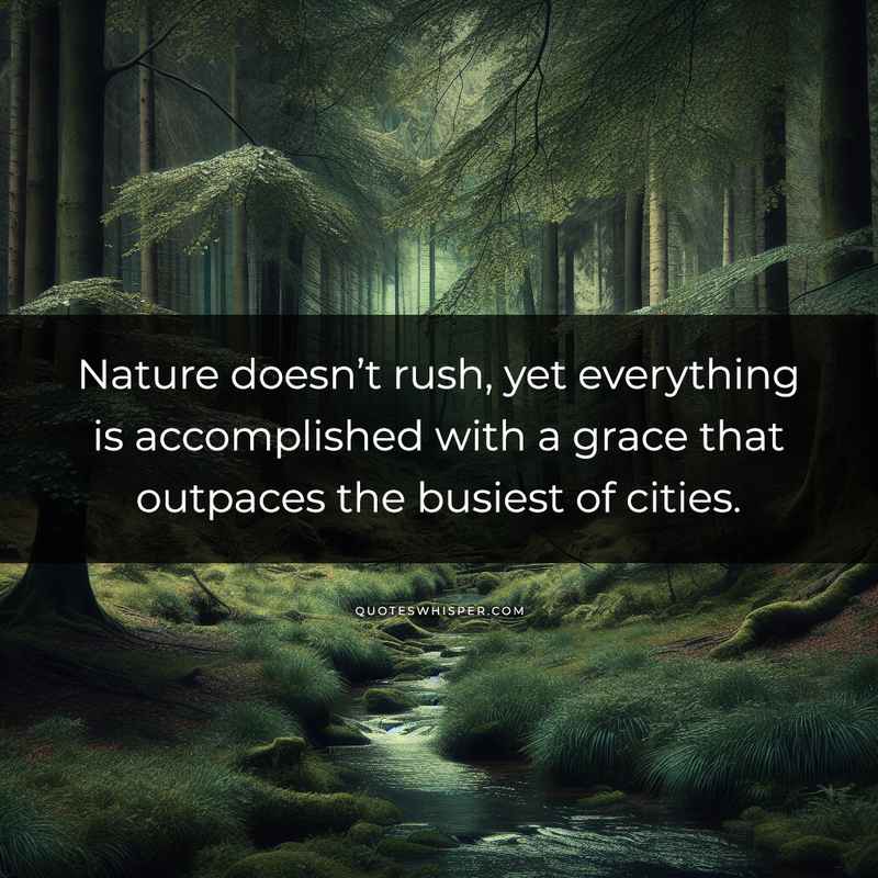 Nature doesn’t rush, yet everything is accomplished with a grace that outpaces the busiest of cities.