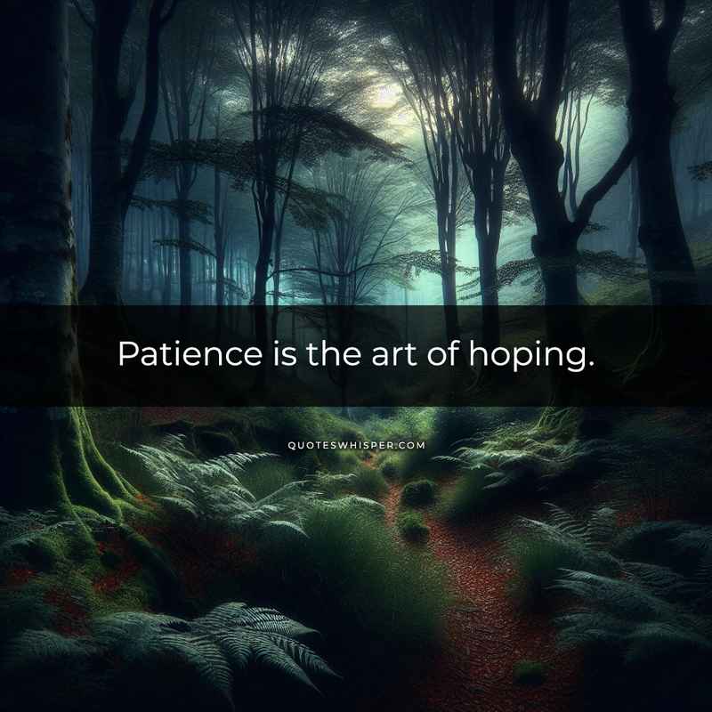 Patience is the art of hoping.