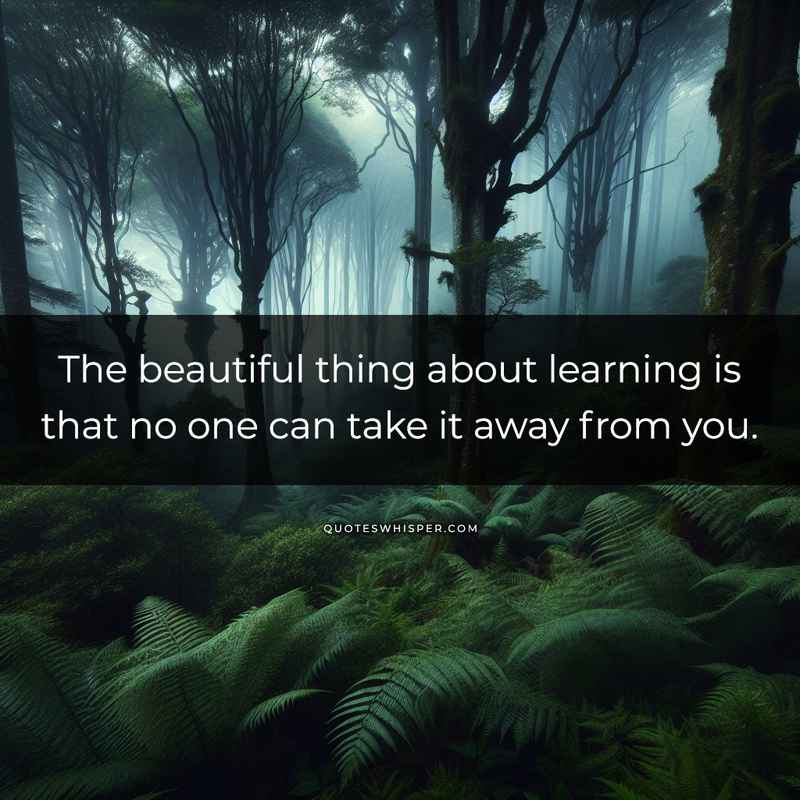 The beautiful thing about learning is that no one can take it away from you.