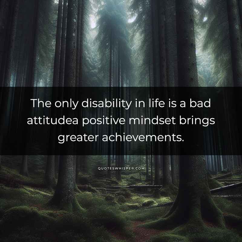 The only disability in life is a bad attitudea positive mindset brings greater achievements.