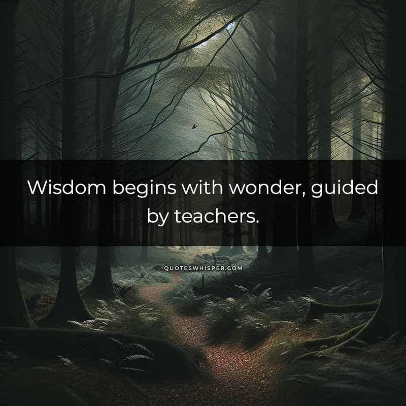 Wisdom begins with wonder, guided by teachers.