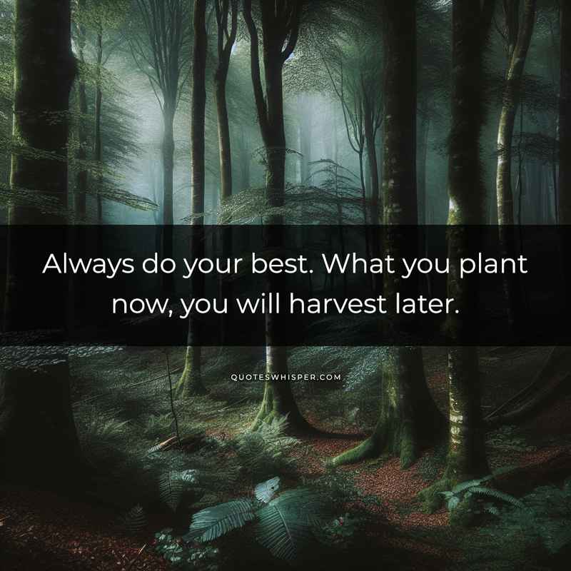 Always do your best. What you plant now, you will harvest later.