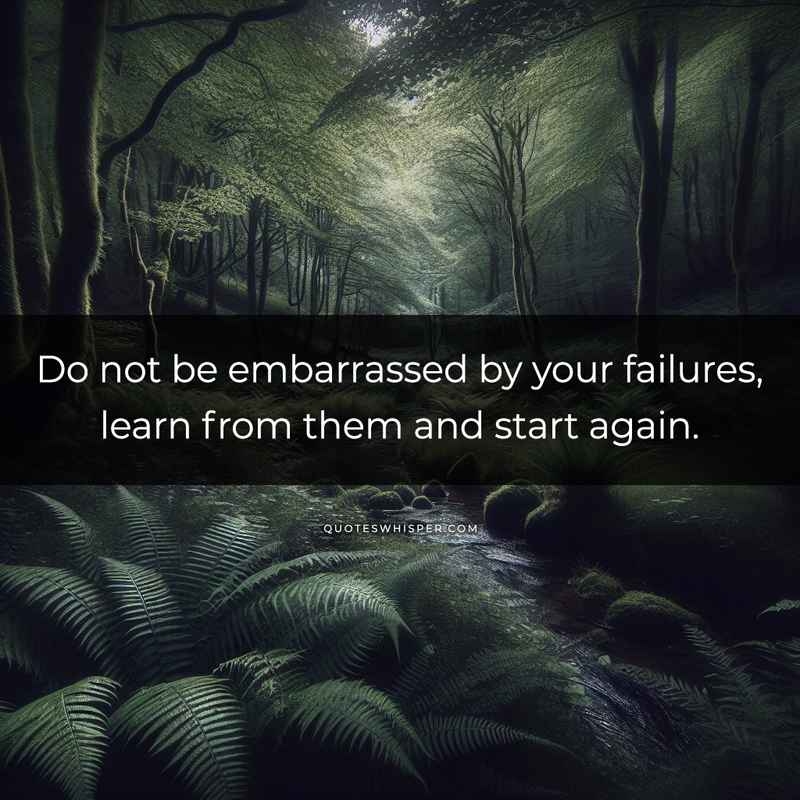 Do not be embarrassed by your failures, learn from them and start again.