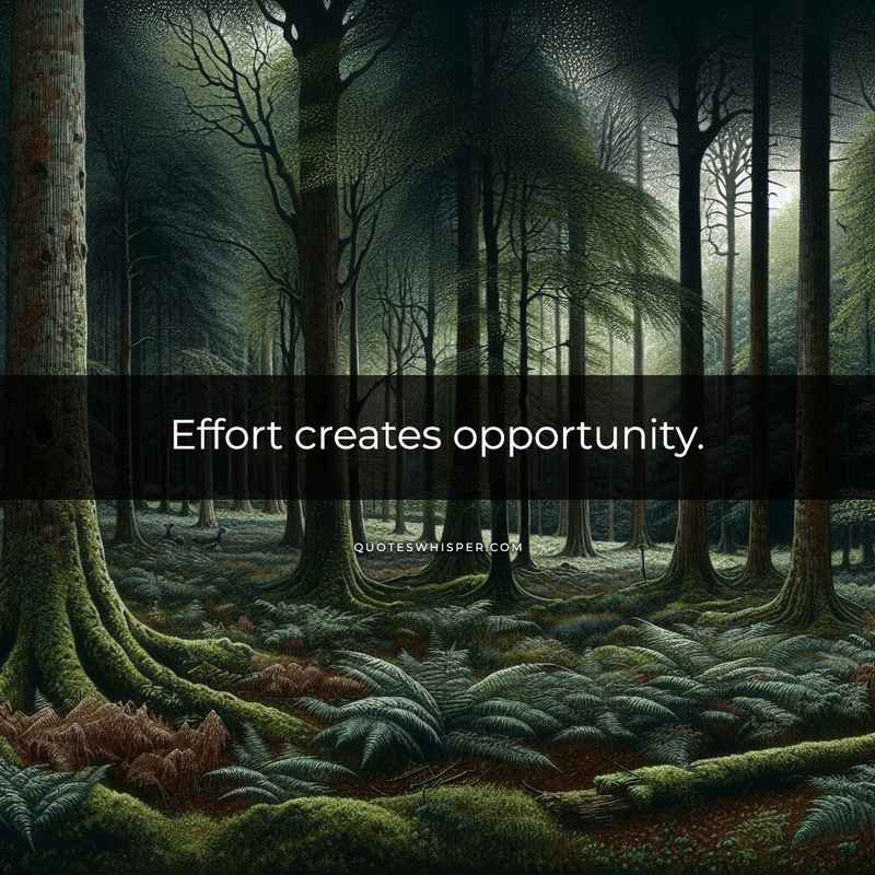 Effort creates opportunity.