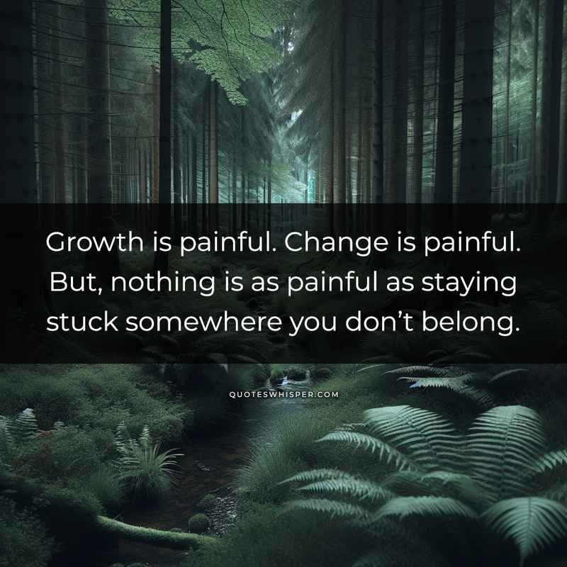 Growth is painful. Change is painful. But, nothing is as painful as staying stuck somewhere you don’t belong.