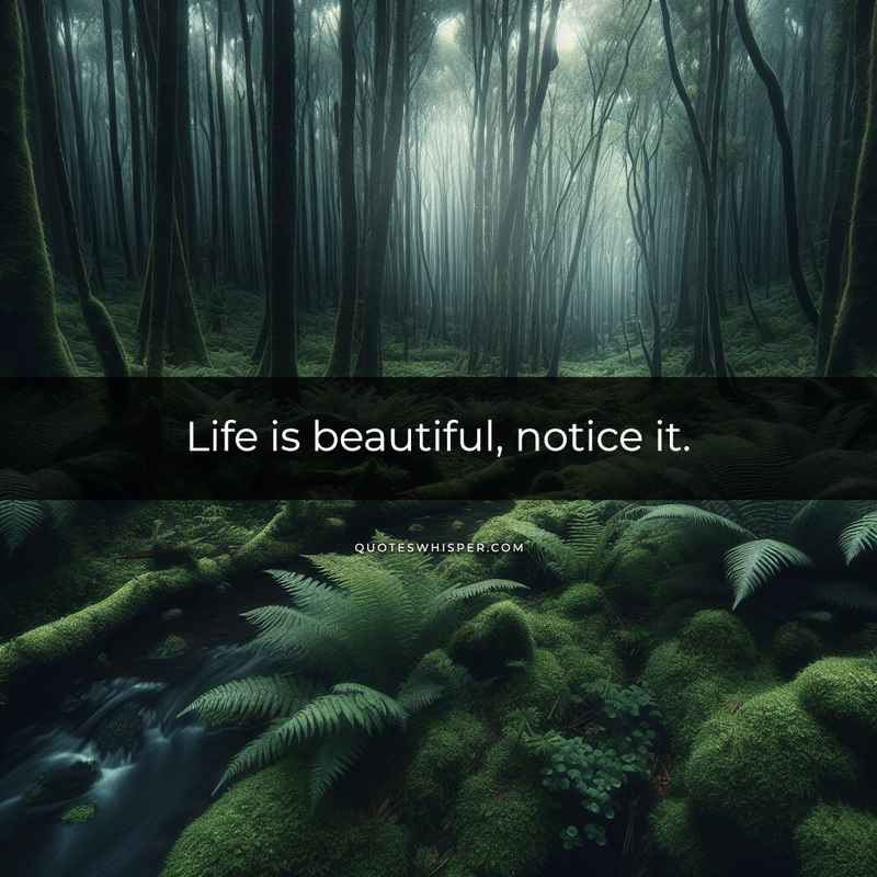 Life is beautiful, notice it.