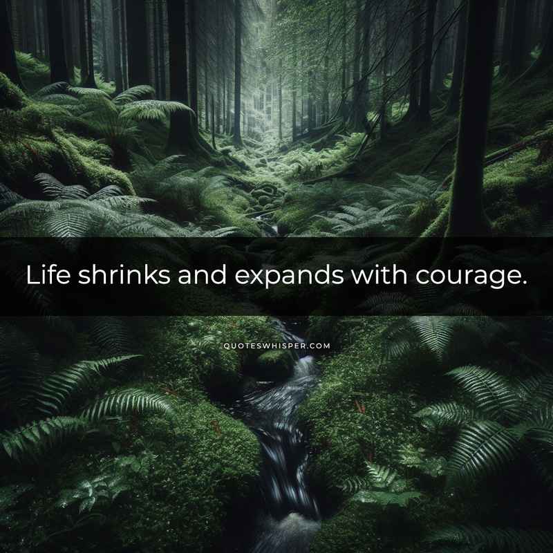 Life shrinks and expands with courage.