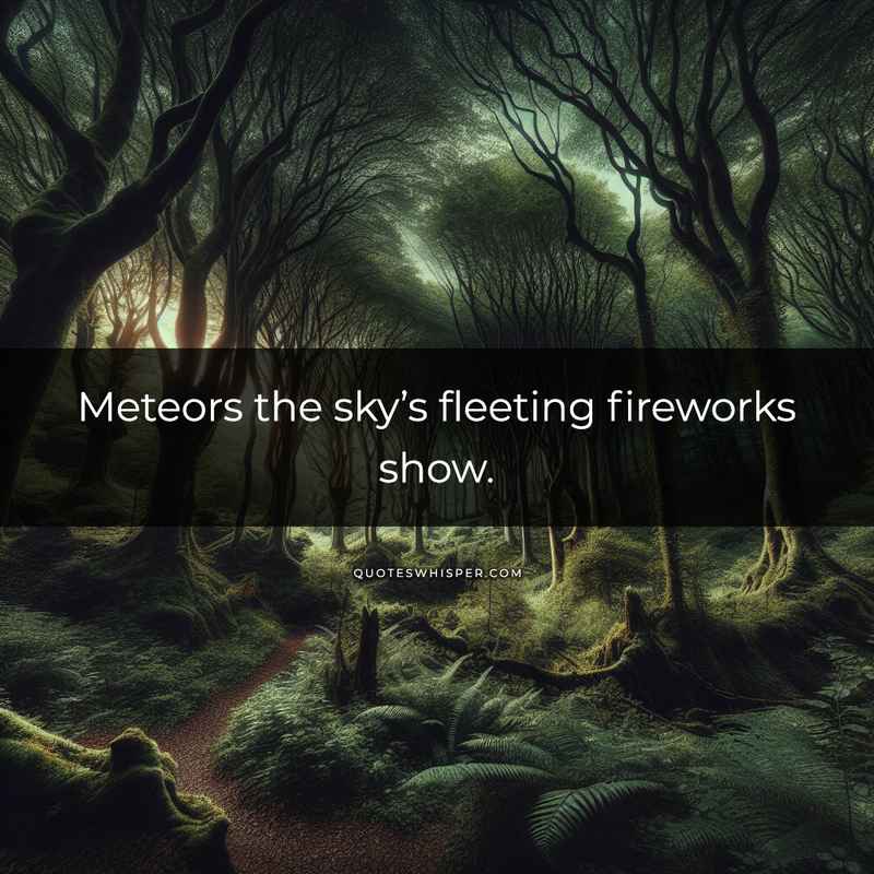 Meteors the sky’s fleeting fireworks show.
