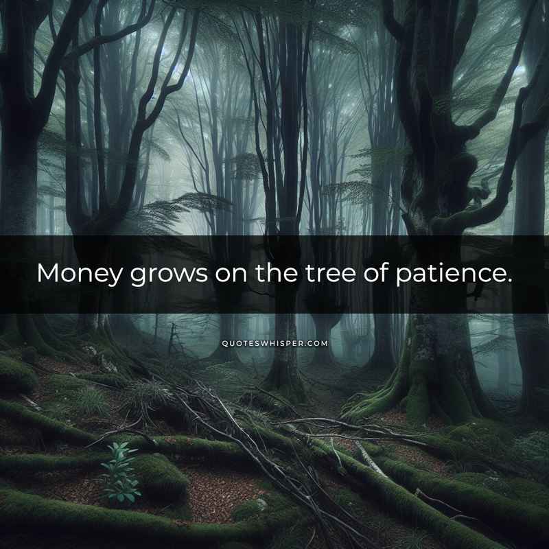 Money grows on the tree of patience.