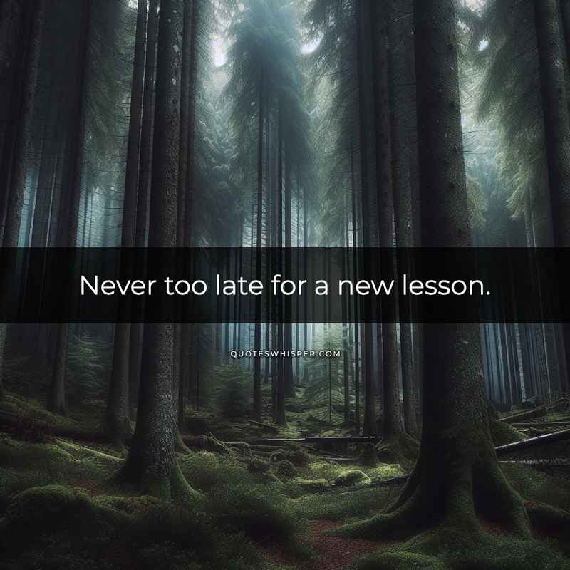 Never too late for a new lesson.