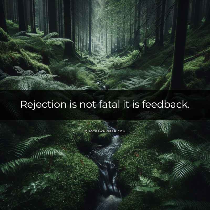 Rejection is not fatal it is feedback.