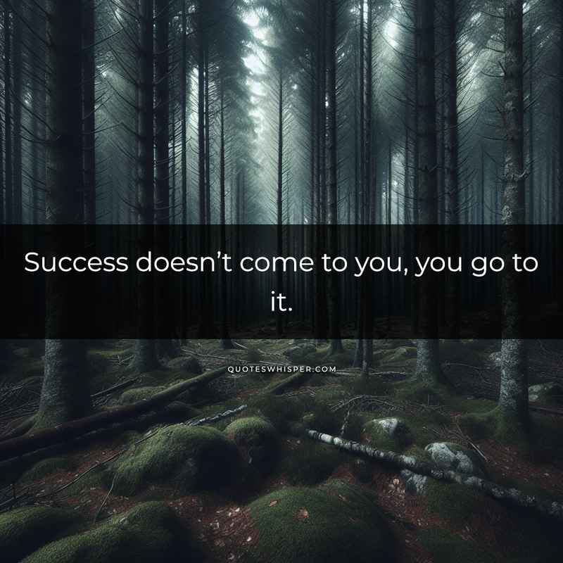 Success doesn’t come to you, you go to it.