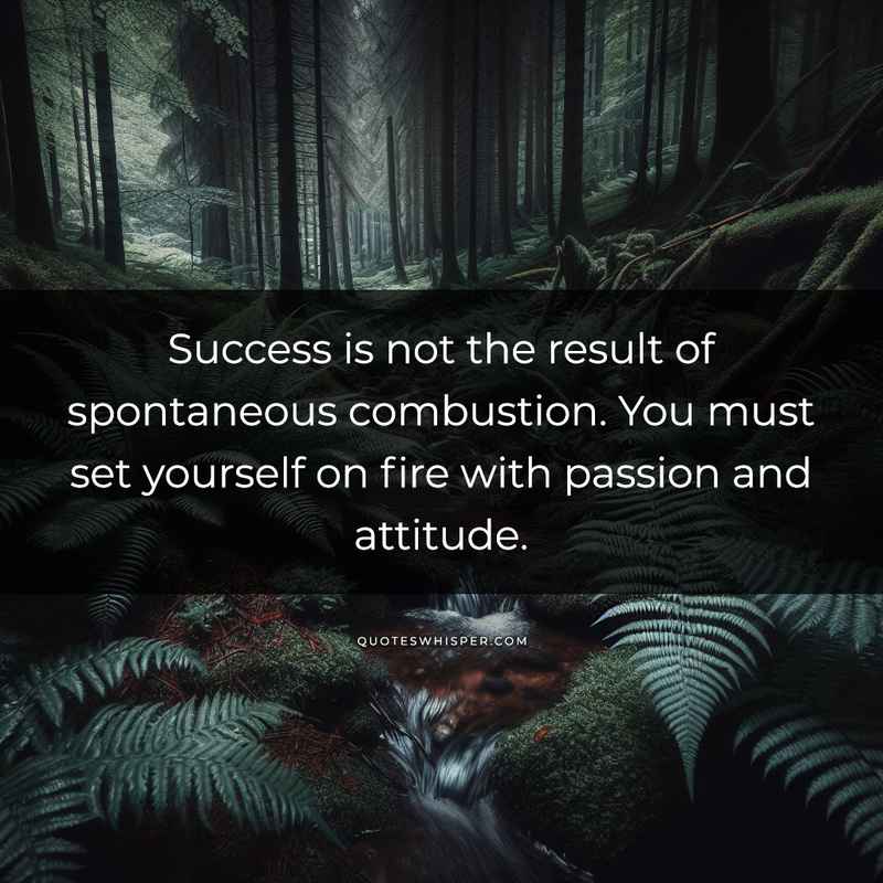 Success is not the result of spontaneous combustion. You must set yourself on fire with passion and attitude.