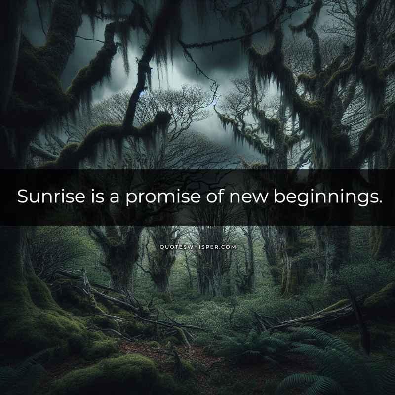 Sunrise is a promise of new beginnings.