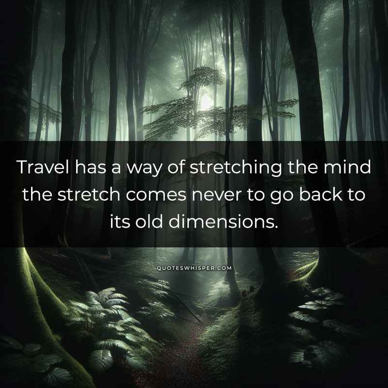 Travel has a way of stretching the mind the stretch comes never to go back to its old dimensions.