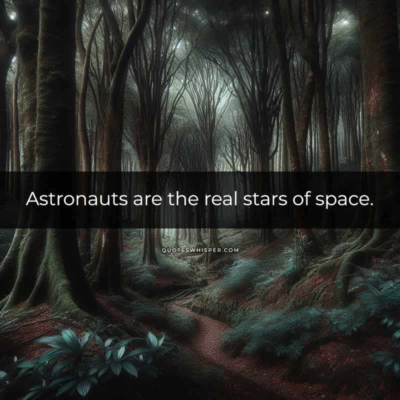 Astronauts are the real stars of space.