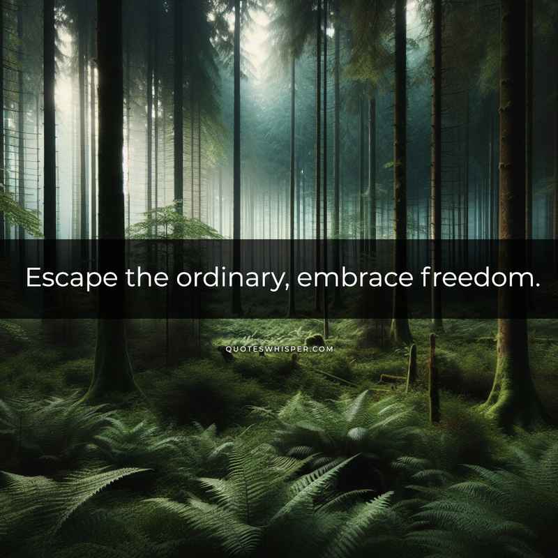 Escape the ordinary, embrace freedom.