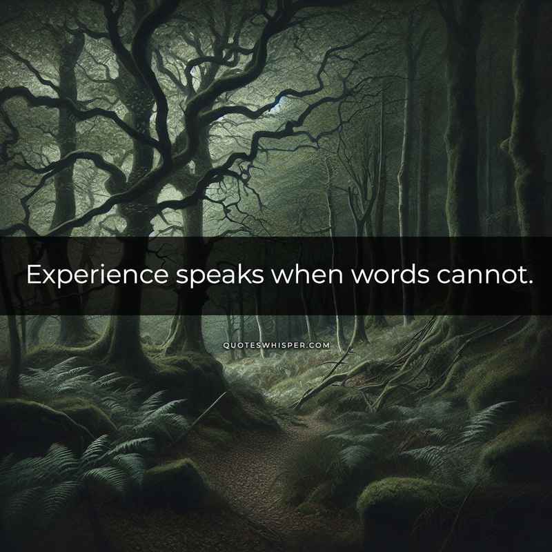 Experience speaks when words cannot.