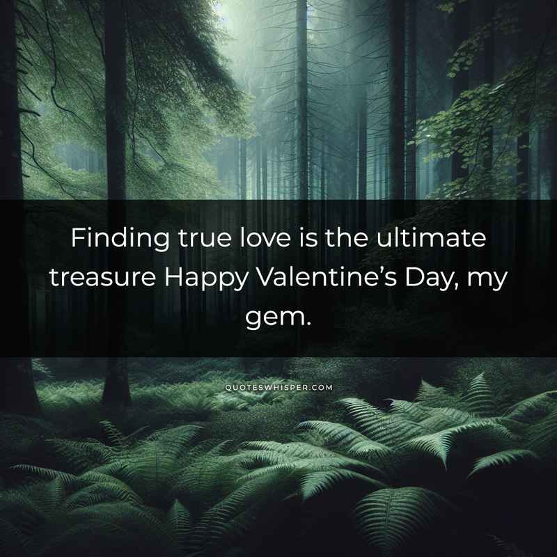Finding true love is the ultimate treasure Happy Valentine’s Day, my gem.