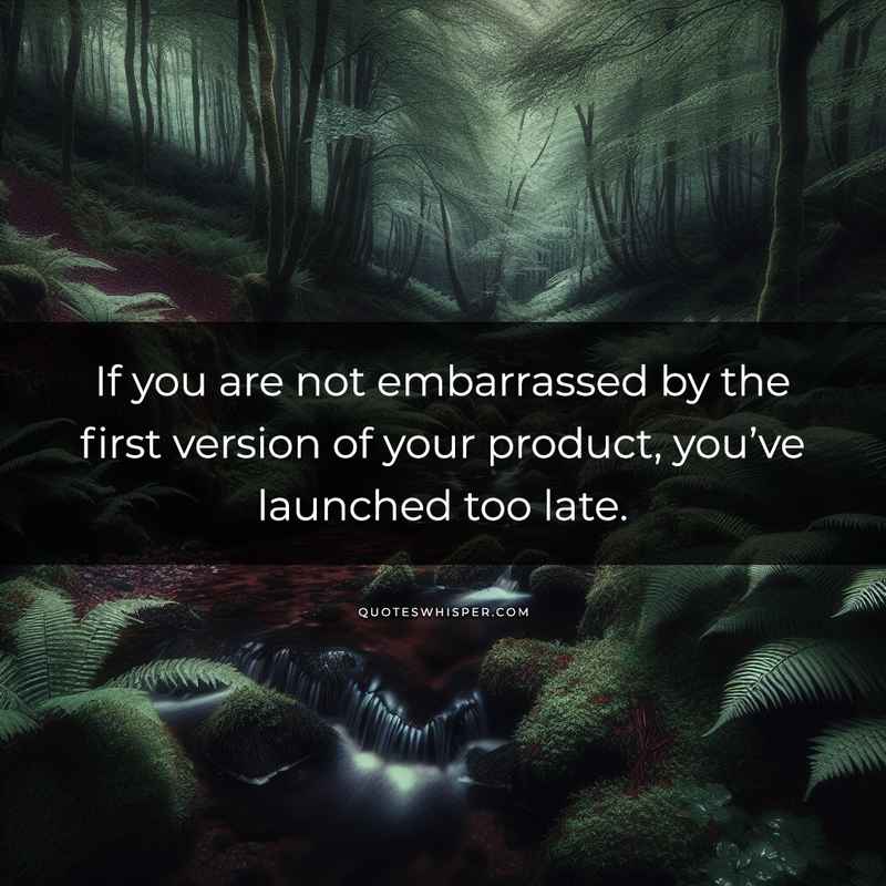 If you are not embarrassed by the first version of your product, you’ve launched too late.