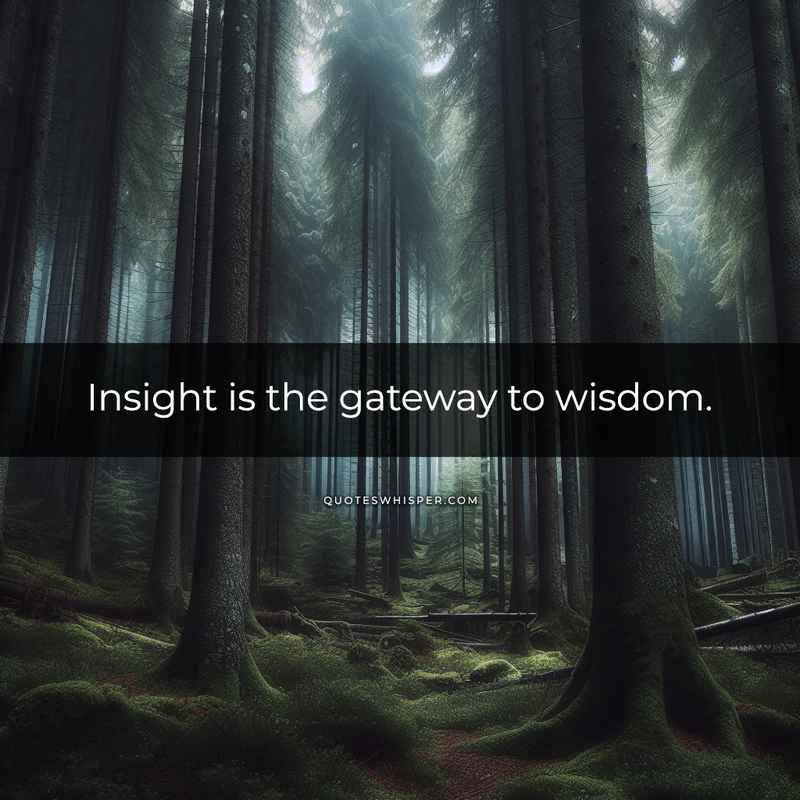 Insight is the gateway to wisdom.