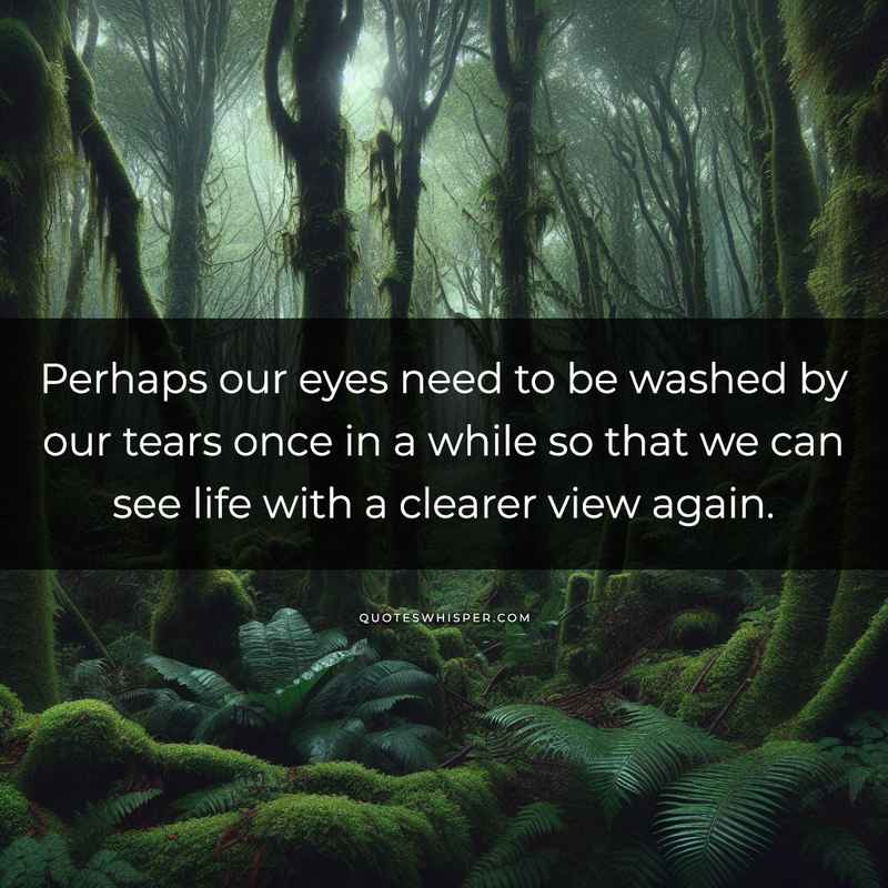 Perhaps our eyes need to be washed by our tears once in a while so that we can see life with a clearer view again.
